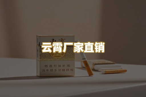 云霄厂家直销